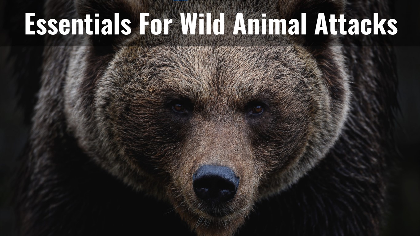 Essentials For Wild Animal Attacks