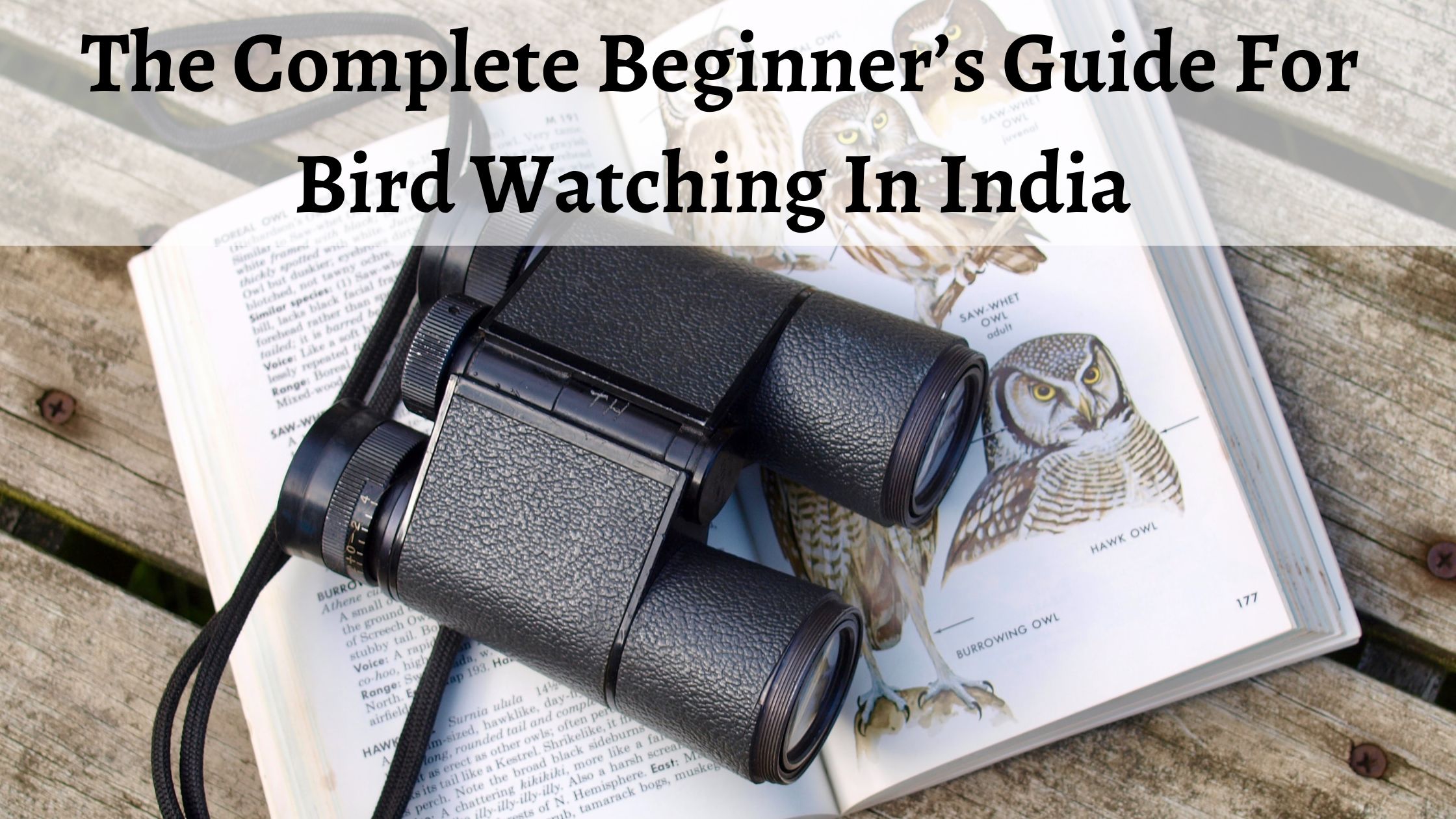 bird-watching-india